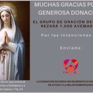 Agradecimientos 5