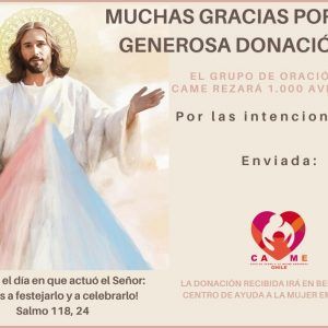 Agradecimientos 6