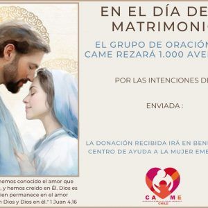 Novios 9