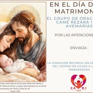 Novios 5