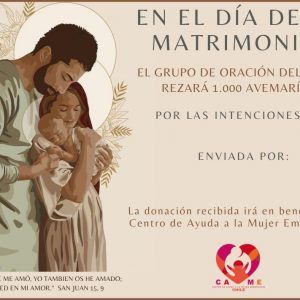 Novios 6