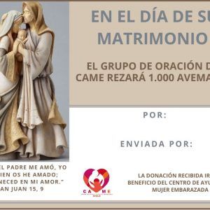 Novios 8